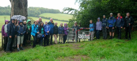 Walkers with gate